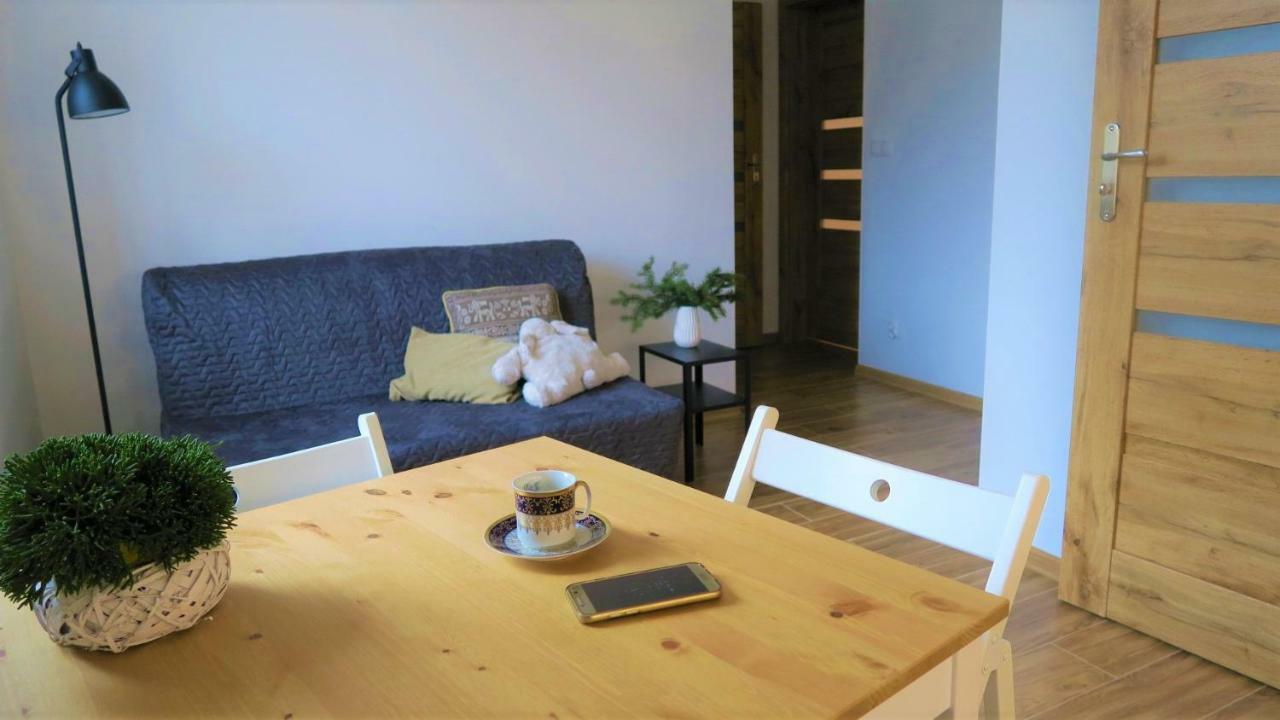 Apartamenty Siostra I Siostra Laziska  Eksteriør bilde